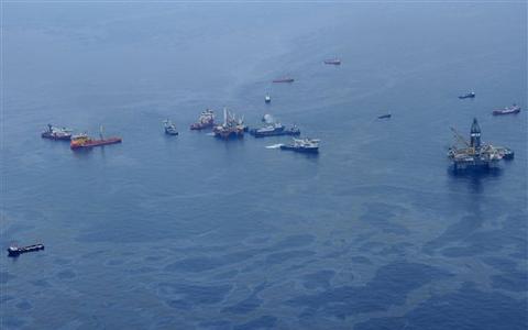 Oilspillbonnie.jpg